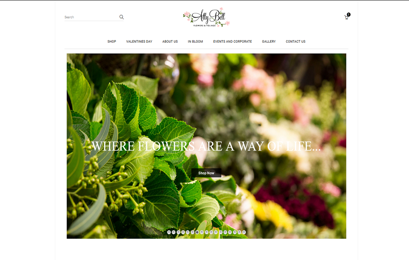 Ally Bell screenshot 1